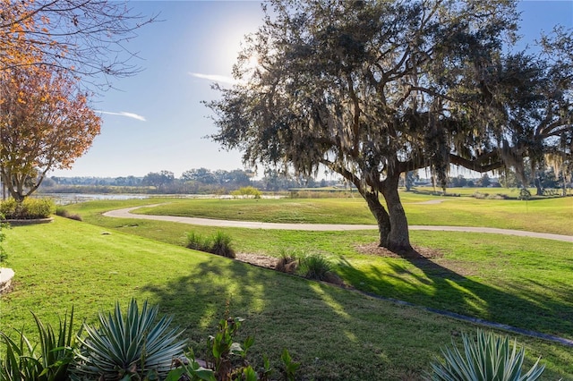 view of community featuring a yard and a water view