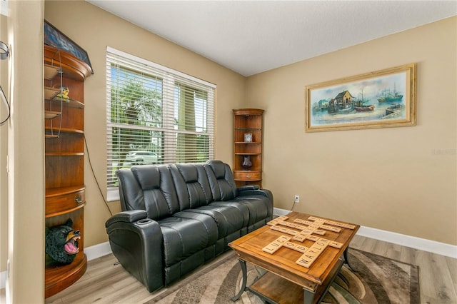 living room with light hardwood / wood-style floors