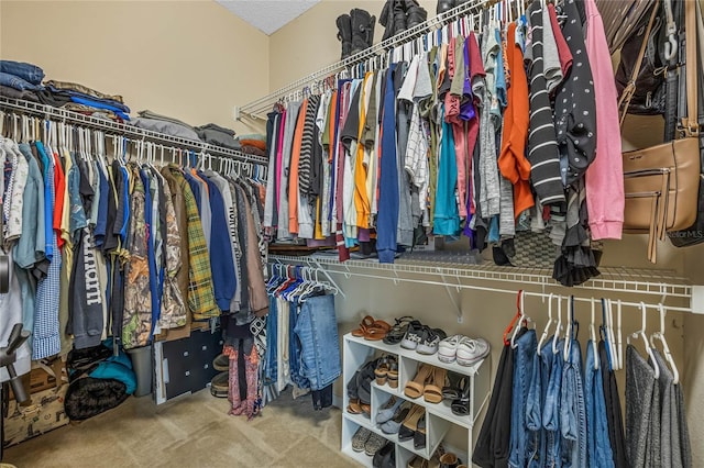 spacious closet with carpet