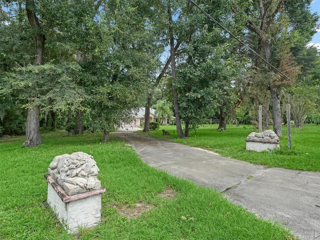 view of community featuring a yard