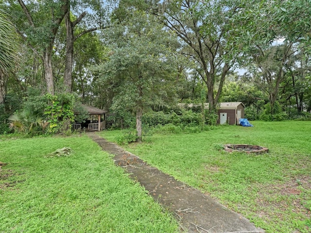 view of yard with a storage unit