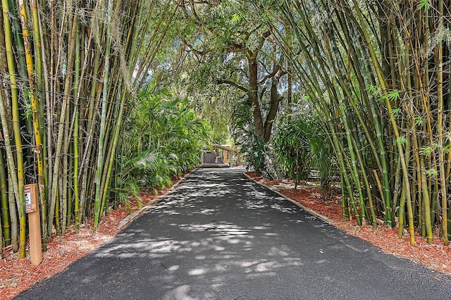 view of road