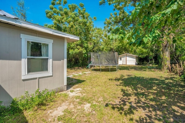 view of yard featuring a shed and a trampoline