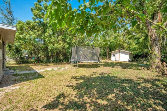 view of yard featuring a trampoline and a storage unit