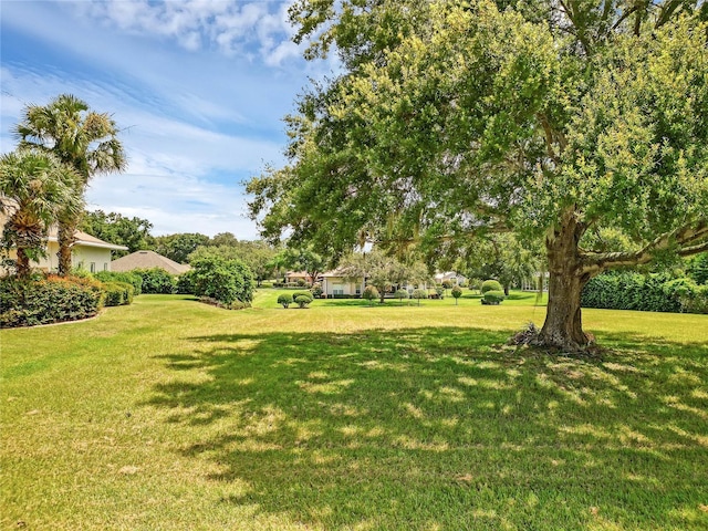 Tacoma Dr, Lady Lake, FL 32159 - photo 2
