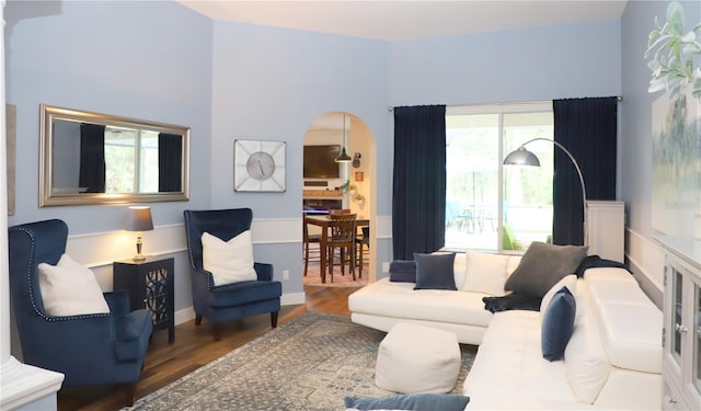 living room featuring dark hardwood / wood-style flooring