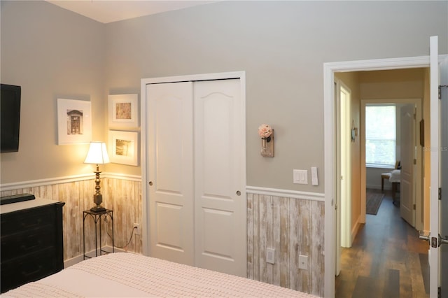 bedroom featuring dark hardwood / wood-style flooring and a closet