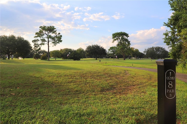 view of home's community with a yard