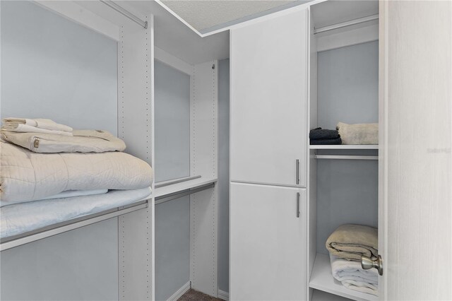 3401 Fairfield St, The Villages, FL 32162 - view of spacious closet