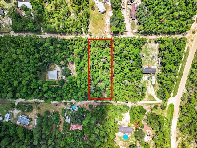 Berry St, Paisley FL, 32767 land for sale