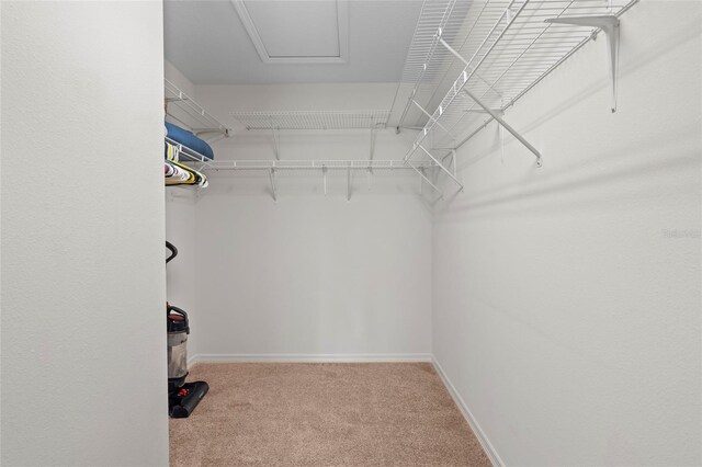 spacious closet featuring light colored carpet