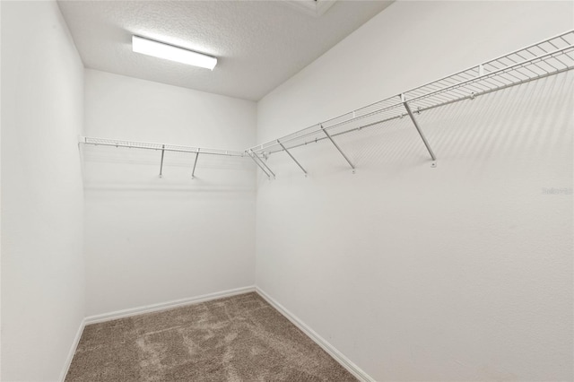 spacious closet with carpet flooring