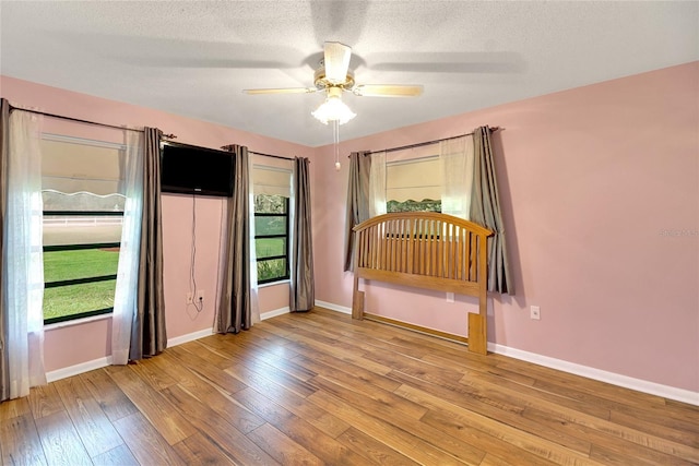 interior space featuring a wealth of natural light, ceiling fan, a textured ceiling, and wood-type flooring