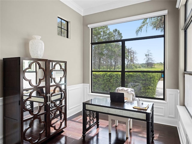 office space featuring dark hardwood / wood-style flooring and crown molding