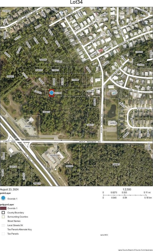 LOT34 Wolf Branch Rd, Mount Dora FL, 32757 land for sale