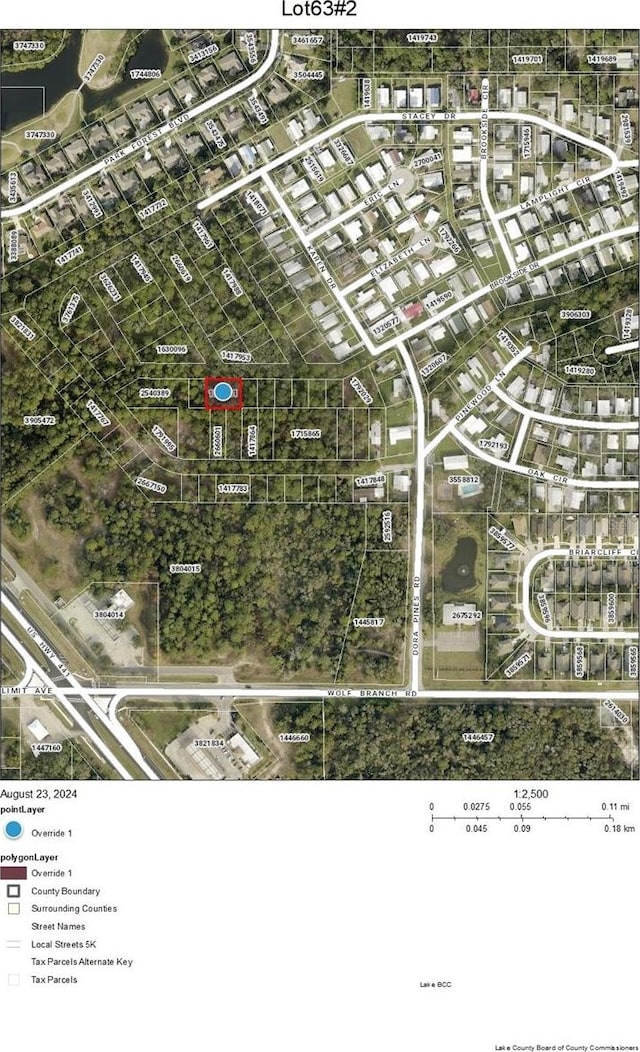 LOTS63 Karen Dr, Mount Dora FL, 32757 land for sale