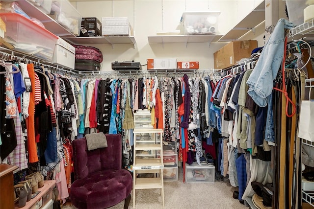 walk in closet featuring carpet flooring