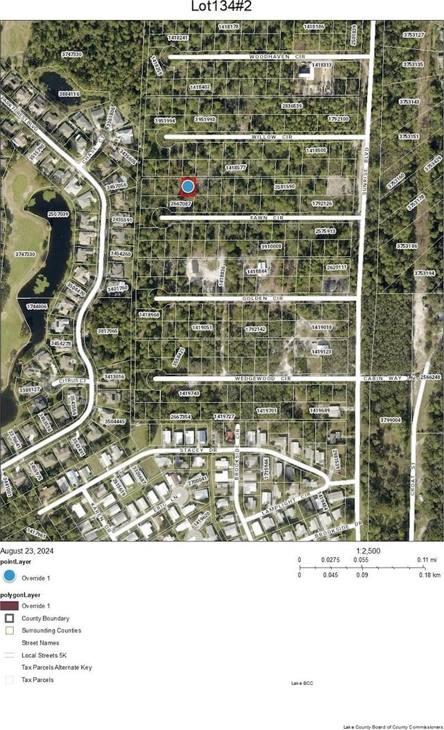 LOT134 Park Forest Blvd, Mount Dora FL, 32757 land for sale