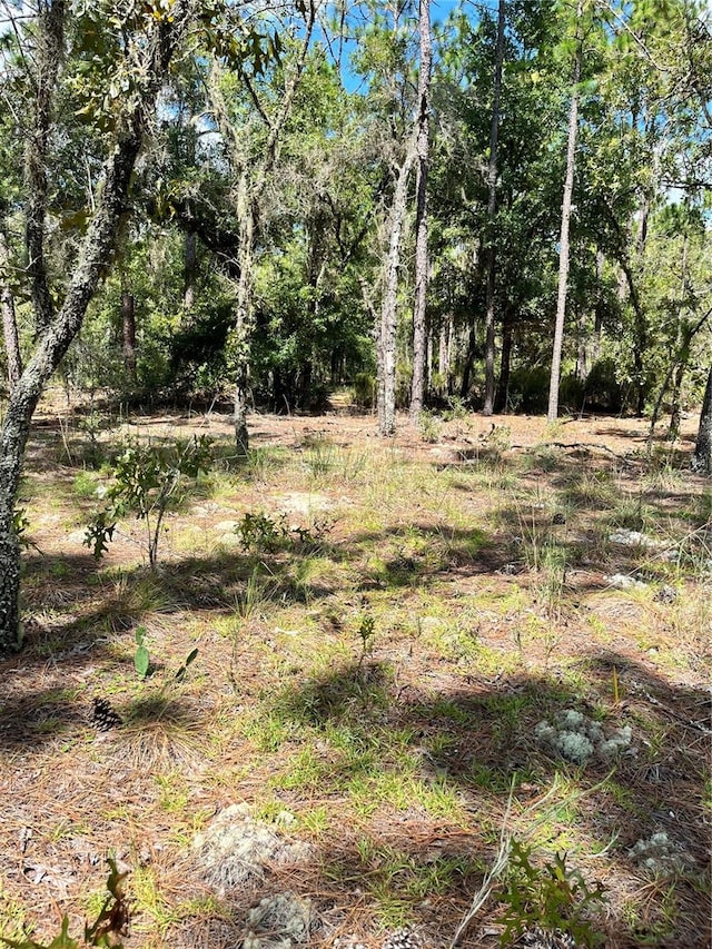 Listing photo 3 for TBD SW 156th Ct, Ocala FL 34481