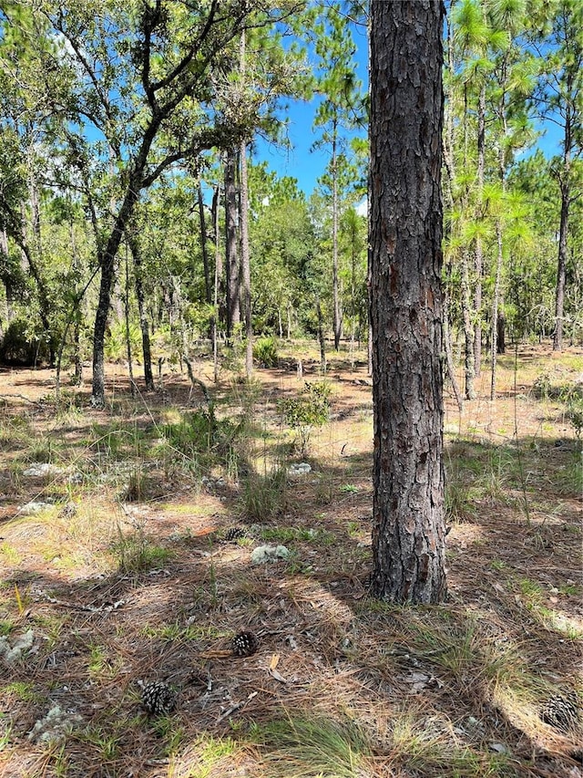 TBD SW 156th Ct, Ocala FL, 34481 land for sale