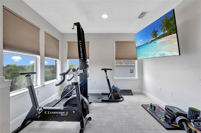 exercise area featuring carpet floors