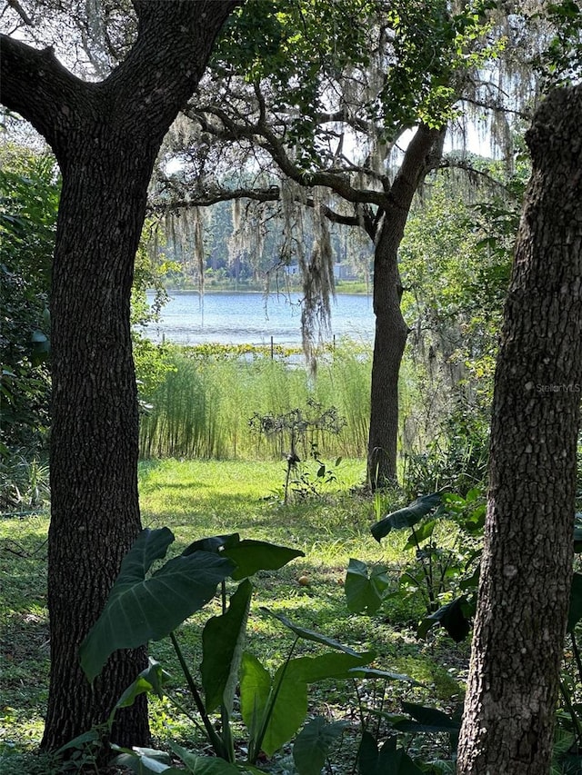 view of local wilderness featuring a water view