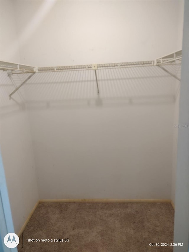 walk in closet featuring carpet flooring