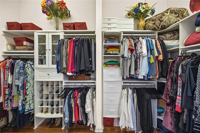 spacious closet with hardwood / wood-style flooring