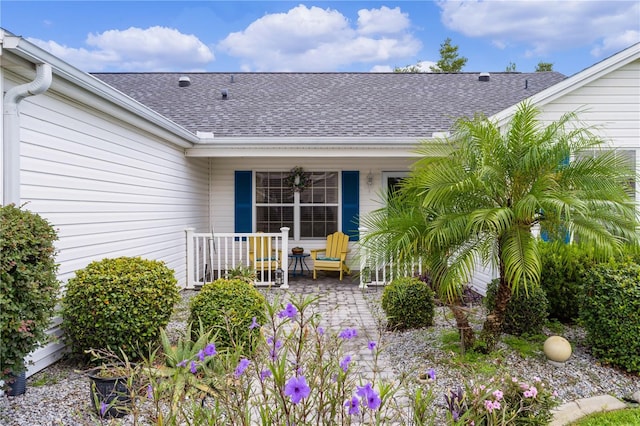 property entrance featuring a porch and roof with shingles