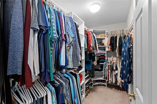 spacious closet with carpet floors