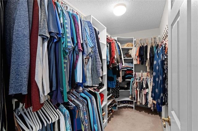 spacious closet featuring carpet floors