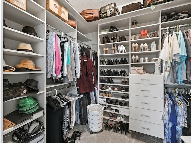 walk in closet with carpet floors