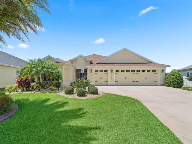 ranch-style house with driveway, an attached garage, a front lawn, and stucco siding