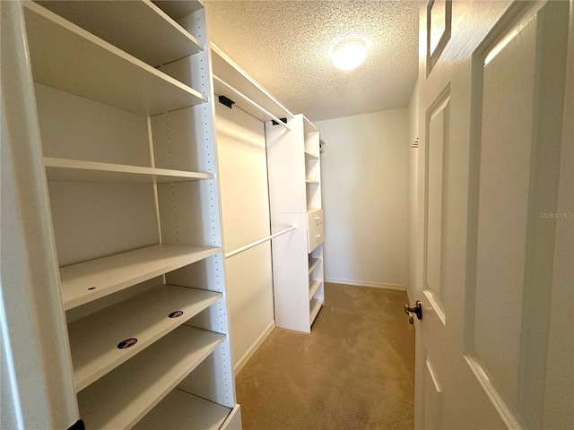 walk in closet with light colored carpet