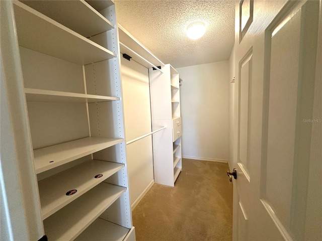 1213 El Esparza Ln, The Villages, FL 32159 - spacious closet featuring light colored carpet