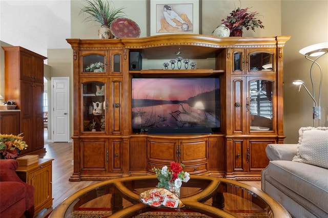 living room with light wood-type flooring