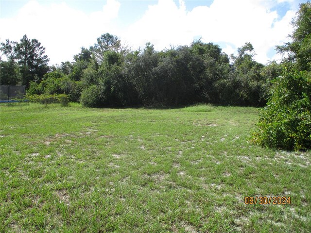 view of yard with a trampoline