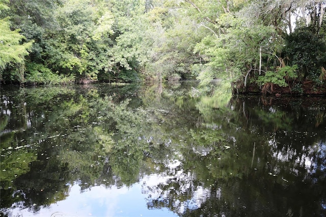 property view of water featuring a view of trees