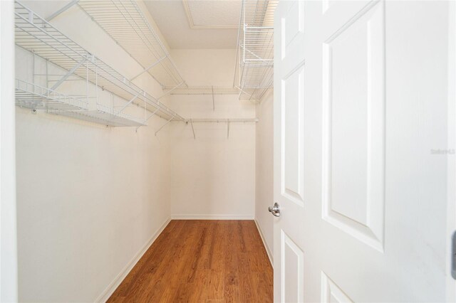 spacious closet with wood-type flooring