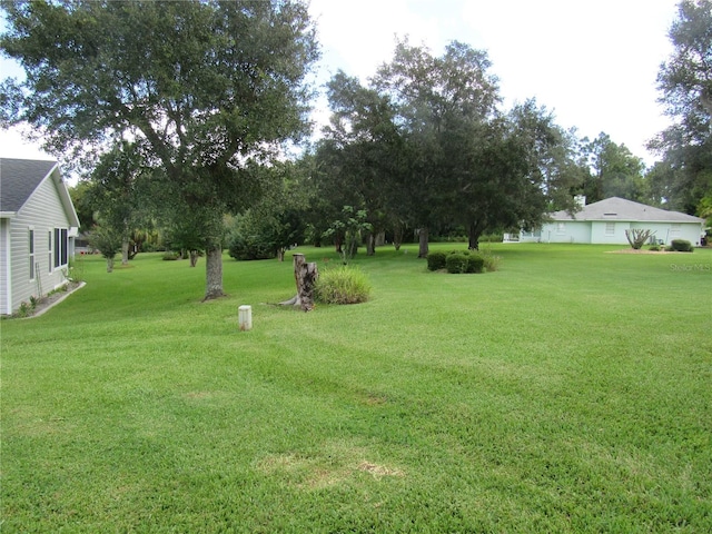 view of yard