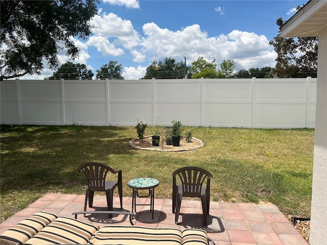 view of yard with a patio area and a fenced backyard