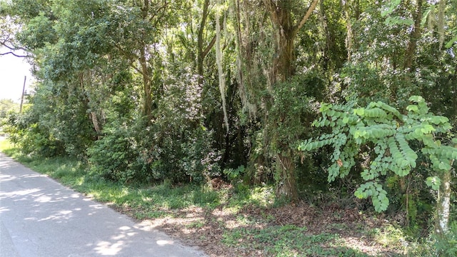 3rd St, Leesburg FL, 34748 land for sale