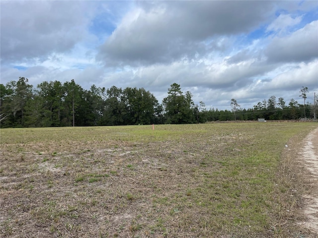 00 NE 108th Ct, Bronson FL, 32621 land for sale