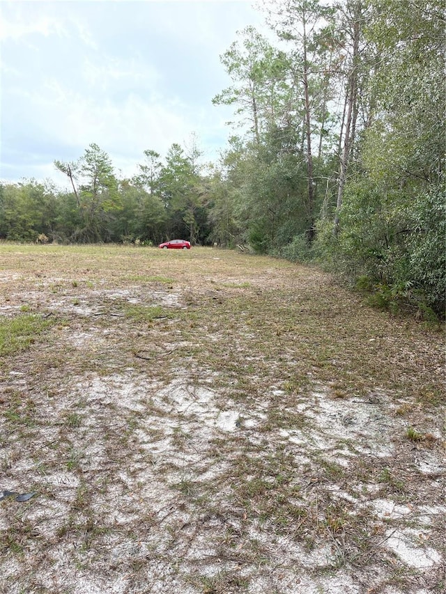 Listing photo 2 for 00 NE 108th Ct, Bronson FL 32621