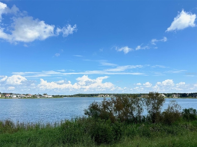 15109 Pendio Dr, Bella Collina, FL 34756 - photo 3