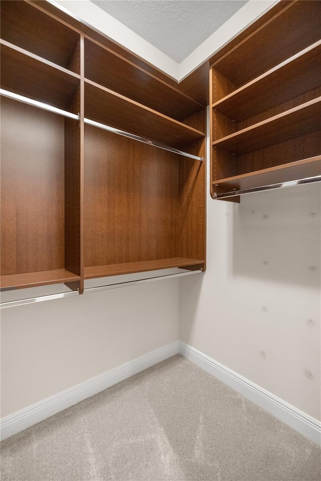 walk in closet featuring carpet flooring