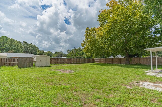 view of yard with a storage unit