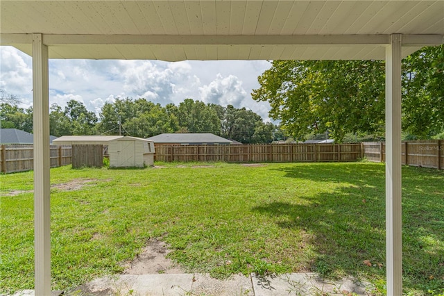 view of yard featuring a shed