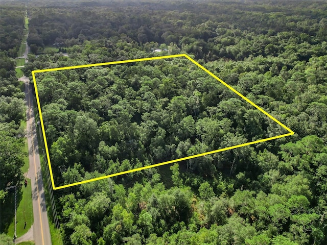 Crk 656, Webster FL, 33597 land for sale