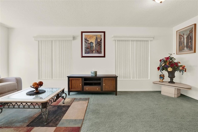 living area with carpet and a textured ceiling